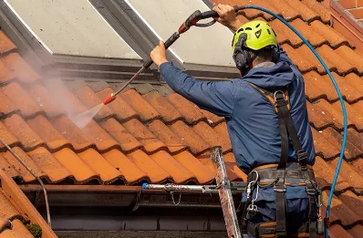 Démoussage et hydrofuge de toiture au Héron